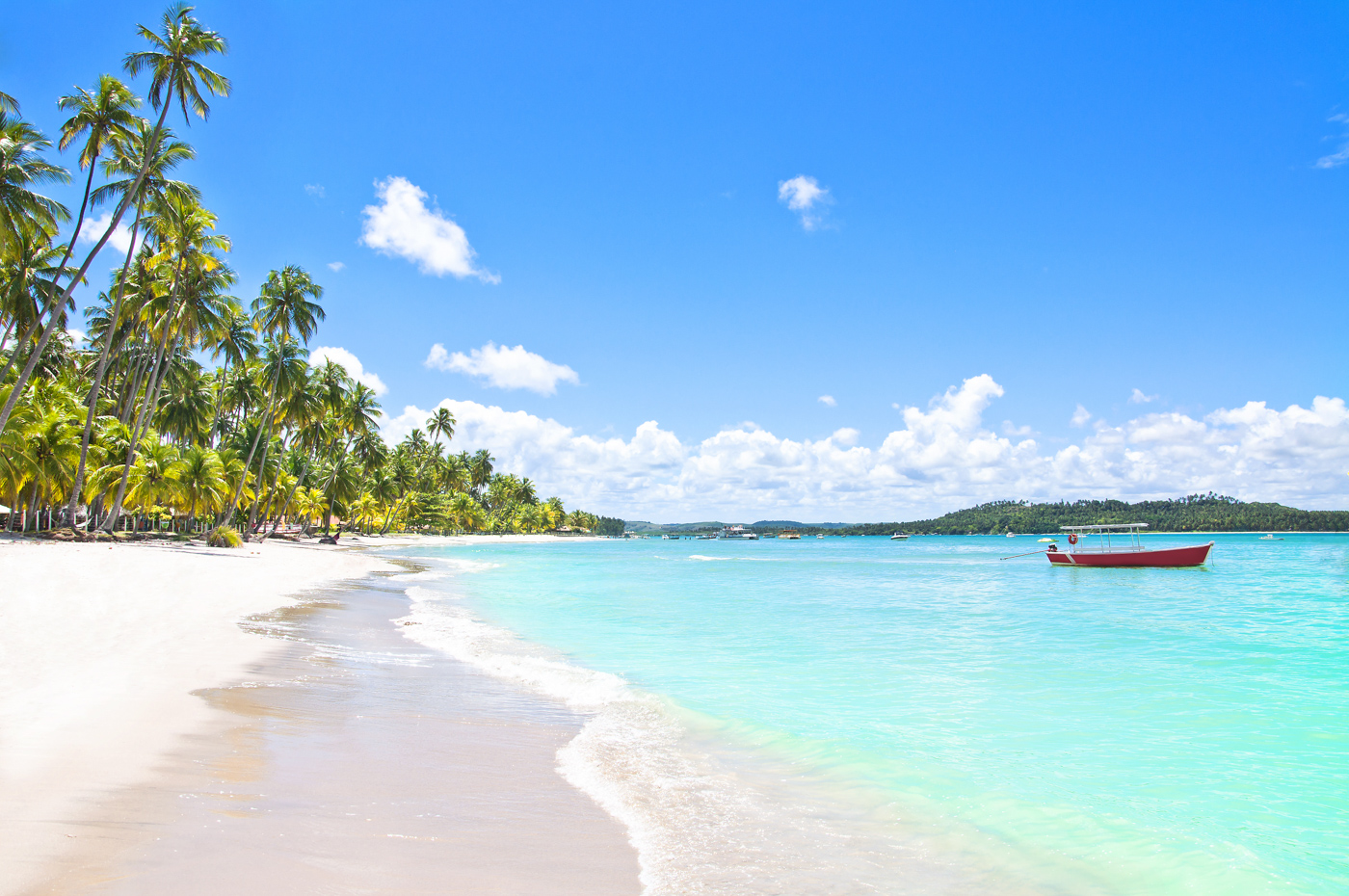 BRA_pernambuco_shutterstock100901797_freewithcredit