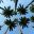 BRA_RIO_free_DN2012 (45)