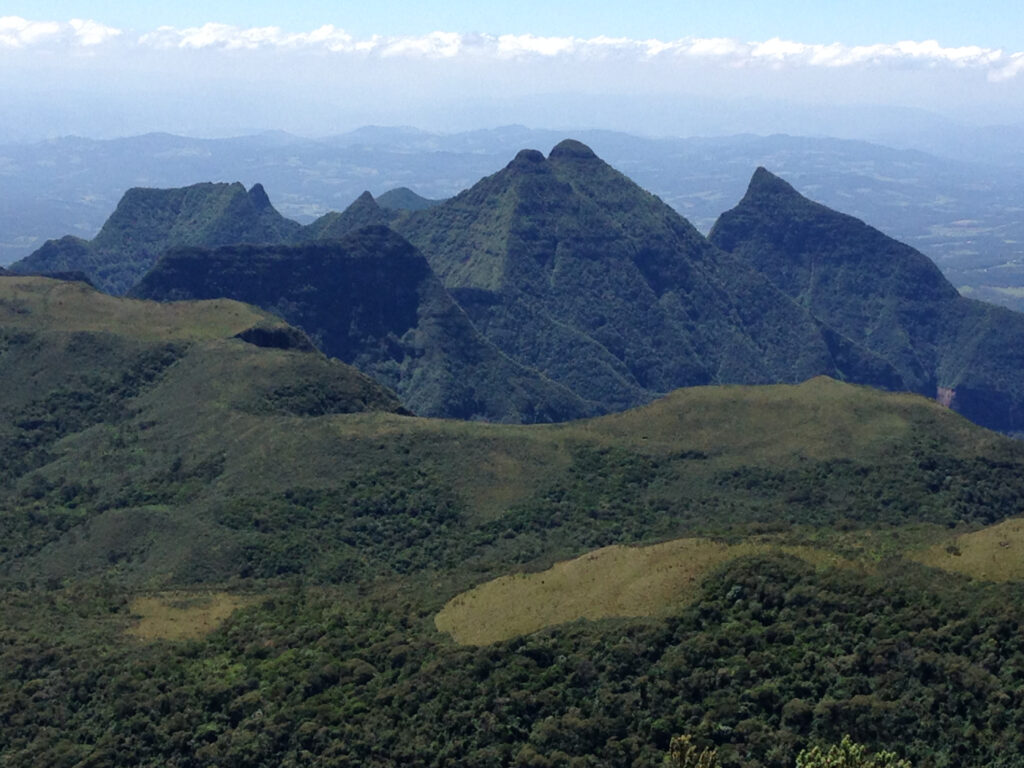 BRA_UnknownSouthBrazil_Serra Geral_CJ (1)