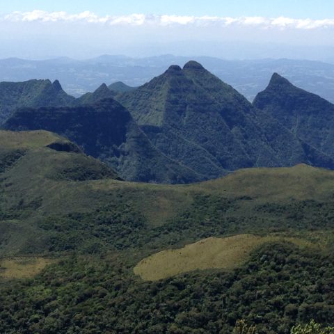 BRA_UnknownSouthBrazil_Serra Geral_CJ (1)