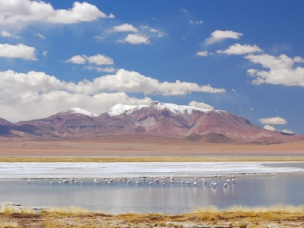 CHI_AnInsidersGuideToTheAtacamaDesert_Shutterstock