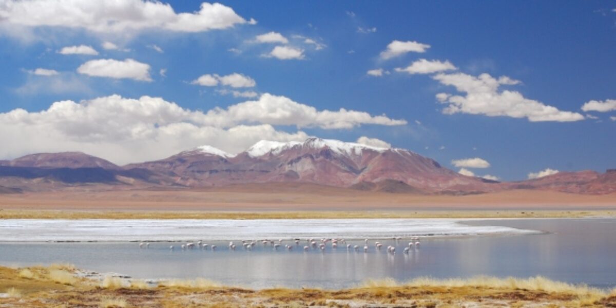 CHI_AnInsidersGuideToTheAtacamaDesert_Shutterstock