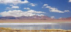 CHI_AnInsidersGuideToTheAtacamaDesert_Shutterstock