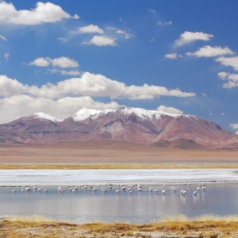 CHI_AnInsidersGuideToTheAtacamaDesert_Shutterstock