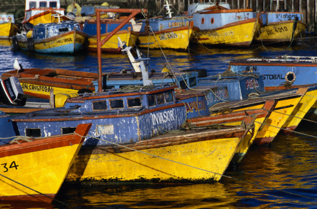 Moored Fishing Vessels in Harbor