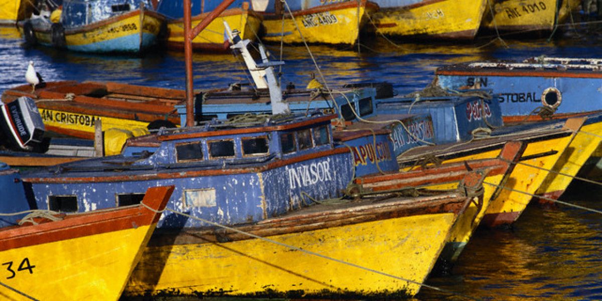 Moored Fishing Vessels in Harbor