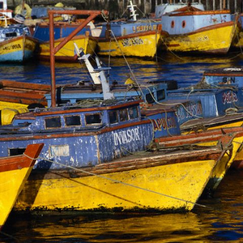 Moored Fishing Vessels in Harbor