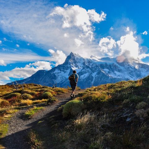 Torres del Paine