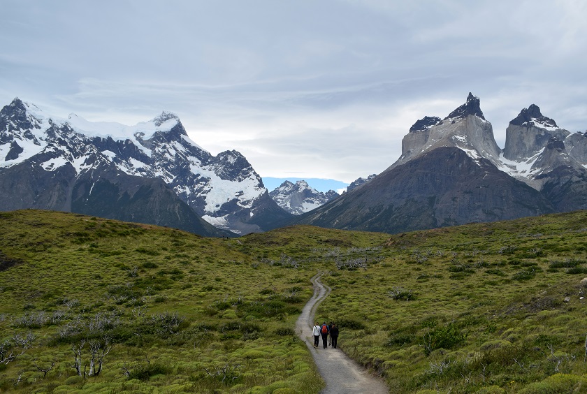 journey latin america nandu