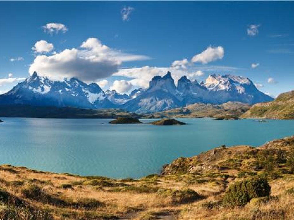 TDP Chile