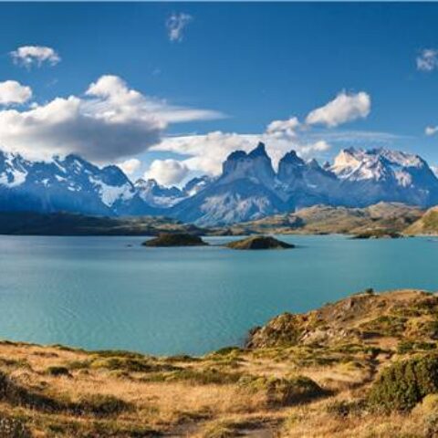 TDP Chile