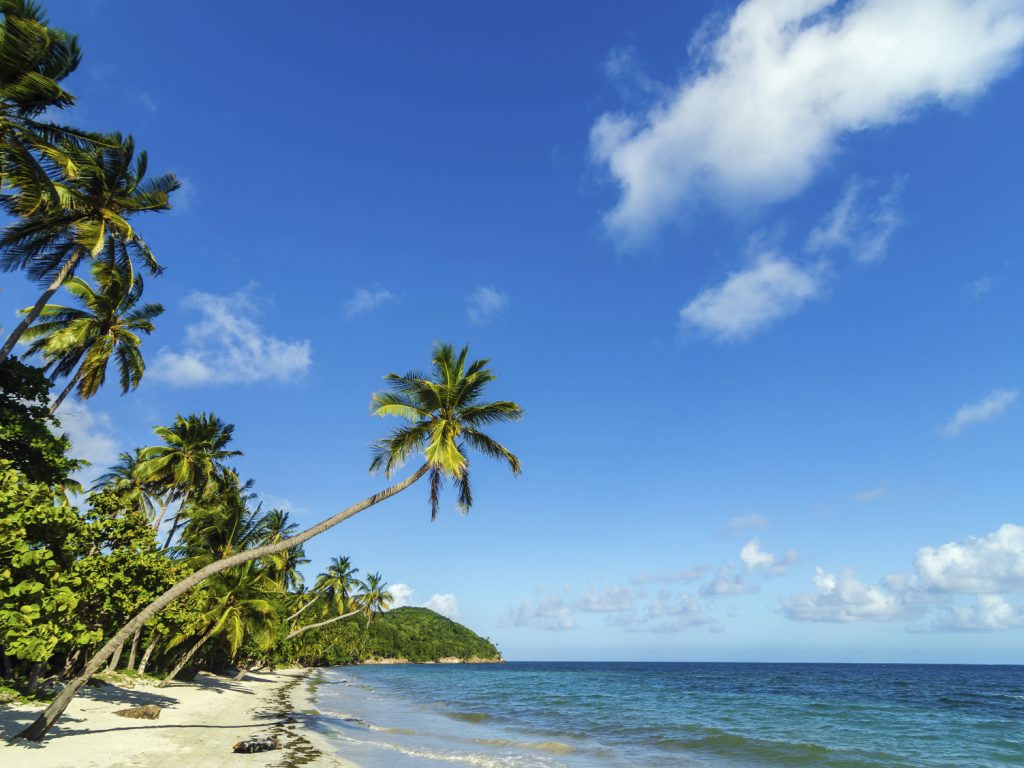 Beautiful Deserted Beach