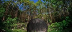 COS_DiquisSpheres_Shutterstock