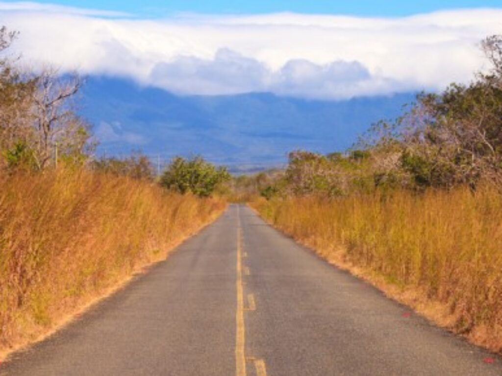 COS_GuanacasteroadCrop_shutterstock68626210_free