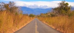 COS_GuanacasteroadCrop_shutterstock68626210_free