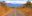 COS_GuanacasteroadCrop_shutterstock68626210_free COS_GuanacasteroadCrop_shutterstock68626210_free