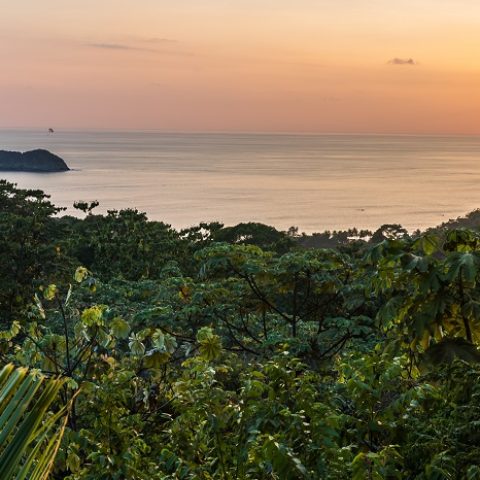 COS_ManuelAntonio_Shutterstock_476715298_Freewithcredit-crop