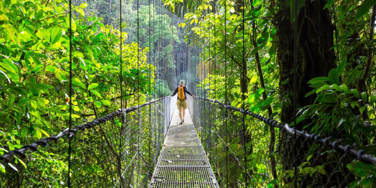 Person walking along a hanging bridge in the jungle