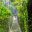 Person walking along a hanging bridge in the jungle