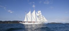 COS_starflyer_Starflyercredit_freewithcredit