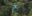 COS_ZipLining_BZRCOS_ZipLining_BZR COS_ZipLining_BZRCOS_ZipLining_BZR