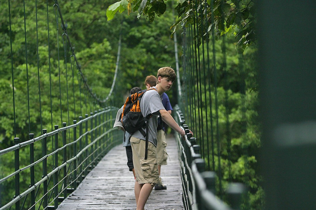 cosfa001-cos-jungle-free-markwyville