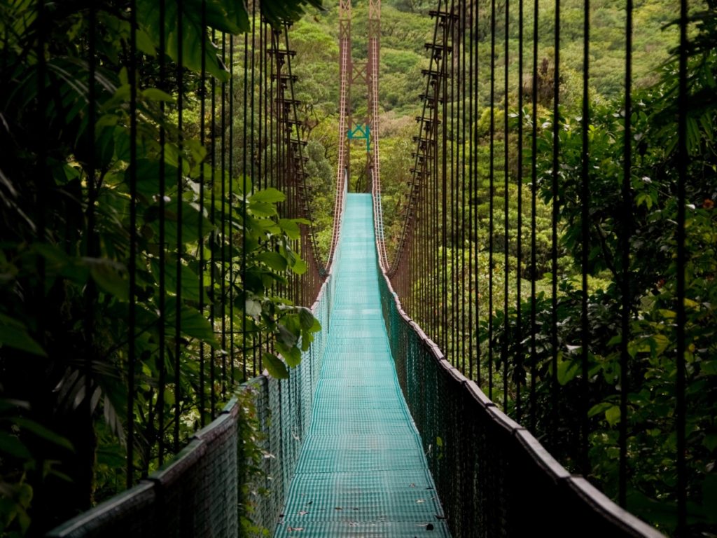 CostaRica_Arenalandthenorth_Sarapiqui_ShutterStock-3