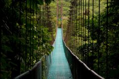 CostaRica_Arenalandthenorth_Sarapiqui_ShutterStock-3