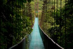 CostaRica_Arenalandthenorth_Sarapiqui_ShutterStock-3