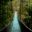 CostaRica_Arenalandthenorth_Sarapiqui_ShutterStock-3