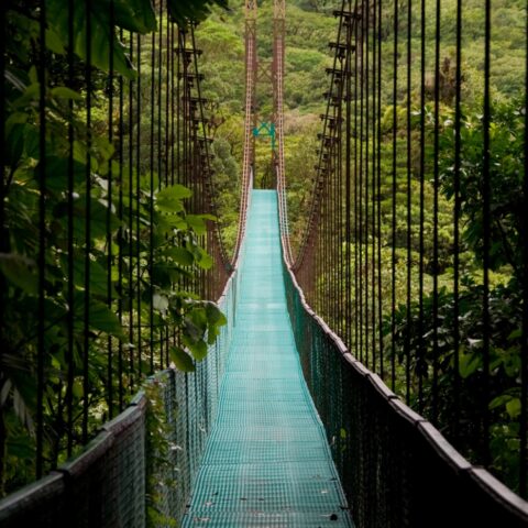 CostaRica_Arenalandthenorth_Sarapiqui_ShutterStock-3
