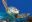 Wildlife_iStock-12 Wildlife_iStock-12