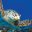 Wildlife_iStock-12