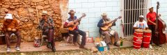 CUB_ musicians_Peter Noyce_freewithcredit