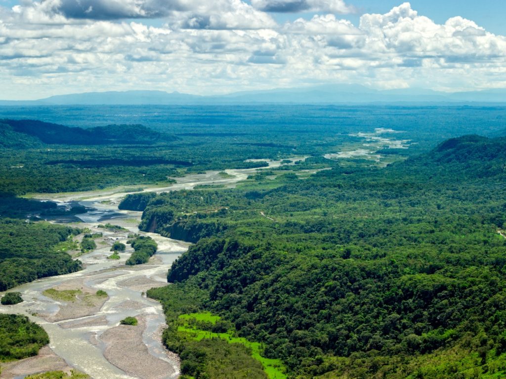Amazon river flowing through the rainforest
