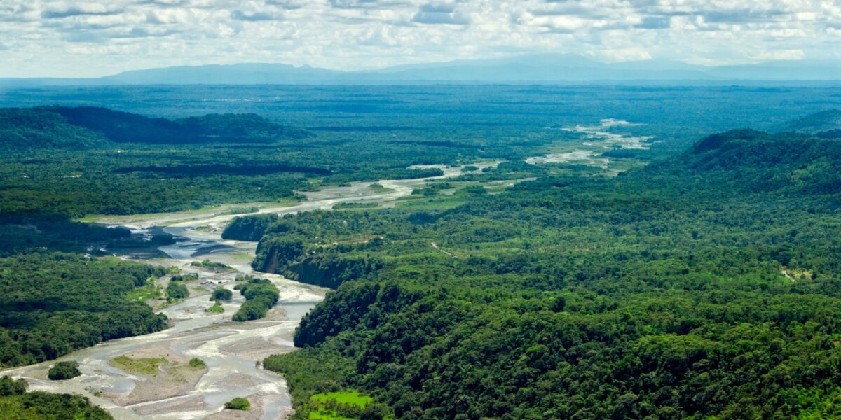 Amazon river flowing through the rainforest