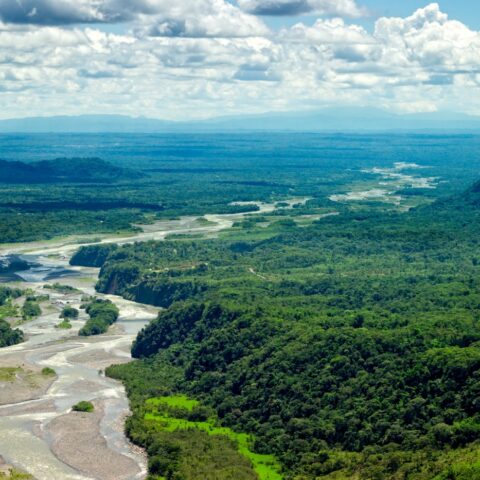 Amazon river flowing through the rainforest