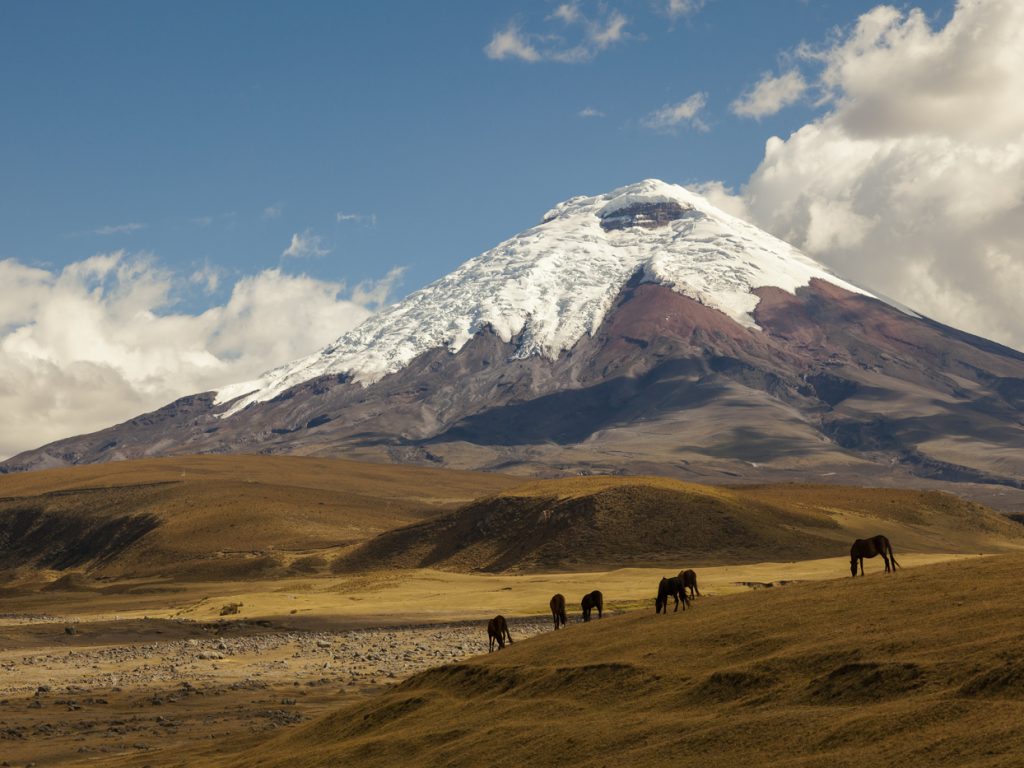 ECU_Cotopaxi_shutterstock240040738_freewithcredit(3)