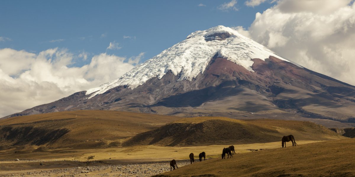 ECU_Cotopaxi_shutterstock240040738_freewithcredit(3)