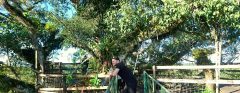 ECU_Konrad_Amazon_KJM_free_banner