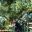 ECU_Konrad_Amazon_KJM_free_banner