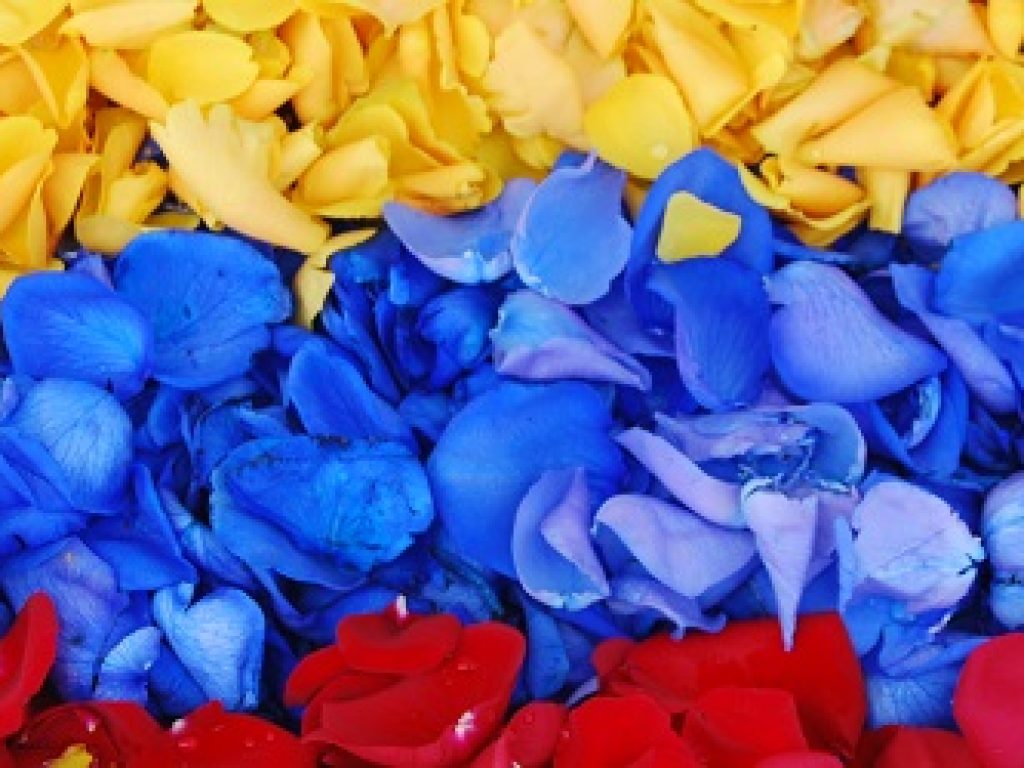 ECU_Rosebanner_HEC_free
