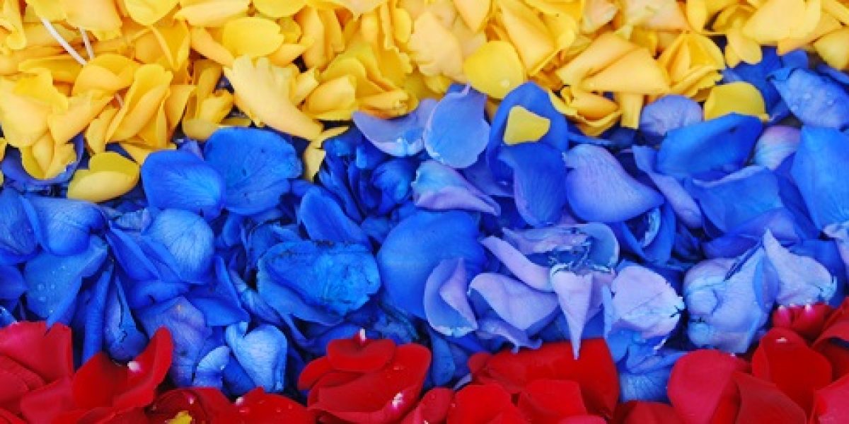 ECU_Rosebanner_HEC_free