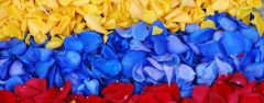 ECU_Rosebanner_HEC_free
