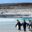 FI_Kingpenguins_shutterstock48261850_freewithcredit