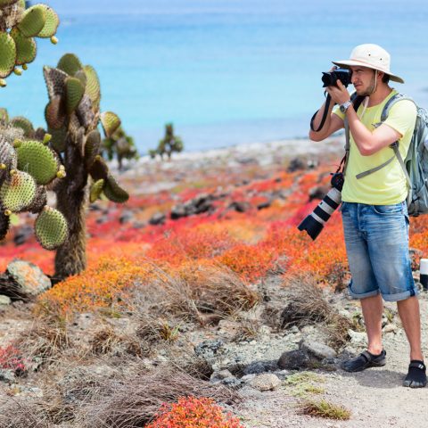 GAL_SouthPlazaIsland_shutterstock127883843_freewithcredit
