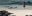 GAL_TheReallyWildShow_WillR_free GAL_TheReallyWildShow_WillR_free