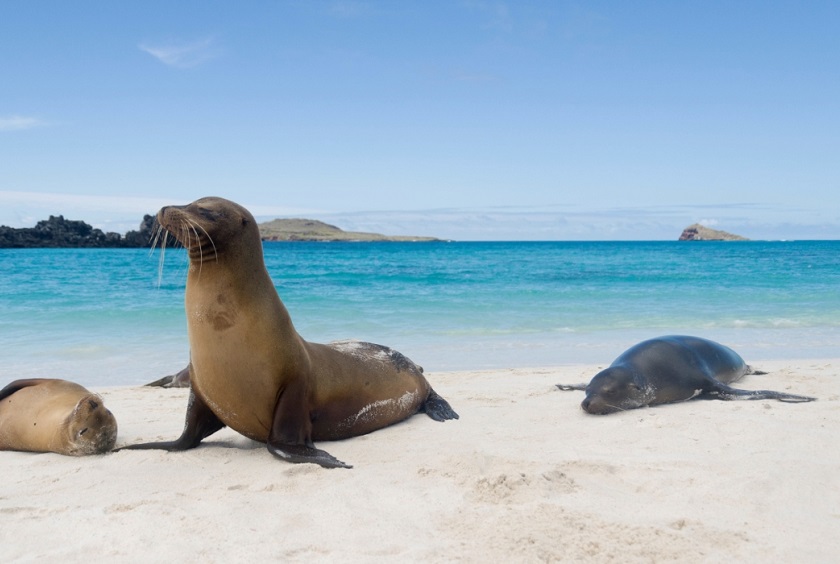GalapagosIslands_SanCristobal_ShutterStock-3 (3)
