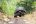 GalapagosIslands_SantaCruzIsland_ShutterStock-5 GalapagosIslands_SantaCruzIsland_ShutterStock-5