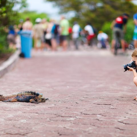 GPS_GirlphotographingIguana_shutterstock126538988_freewithcredit